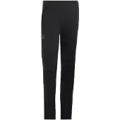 Adidas Pantalon outdoor 'Xperior' noir