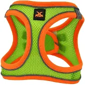 Nayeco Harnais Pour Chien X-trm Neo