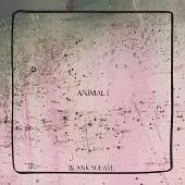 Kuroneko Media Cnt Animal I Inclus coupon MP3