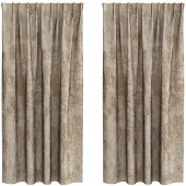 vidaXL Rideaux en velours 2 pcs Champagne 175 x 140 cm Velours