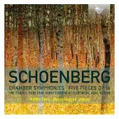 Brilliant Classics Schoenberg : Arrangements pour piano à 4 mains et 2 pianos d'œuvres orchestrales
