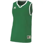 Errea T-Shirt fonctionnel 'CALIFORNIA' vert / blanc