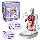 Canal Toys Vozpedia Du Corps Humain