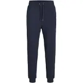 Jack & Jones Pantalon 'JPSTGordon JJBradley' marine