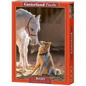 Castorland Puzzle Amitié Unique - 1000 pièces