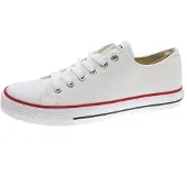 Beppi Chaussure à lacets 'Canvas Shoe' blanc