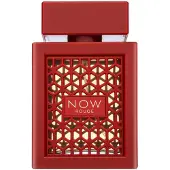 Rave Now Rouge eau de parfum spray 100ml