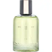 Burberry Weekend Men Eau de Toilette 100 ml