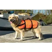 Beeztees Manteau Pour Chien Safety &amp; Swim