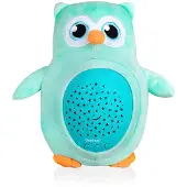 Baninni Lampe à projecteur Owl Menthe