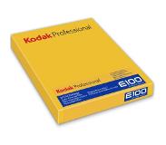 Kodak Ektachrome E100 4X5" 10SH