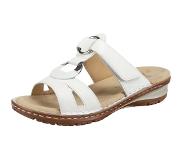 Ara Mule 'HAWAII'