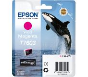 Epson T7603 Cartouche Magenta C13T76034010