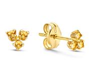 Jackie Clous d'oreilles en or jaune 14 carats