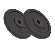 vidaXL Plaque de poids 2 pcs 2x10 kg Fonte