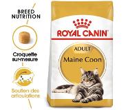 Royal Canin Maine Coon 31 pour chat 10kg