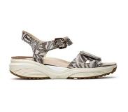 Xsensible Sandales Xsensible Stretchwalker Women Syros Taupe Jungle-Taille 36