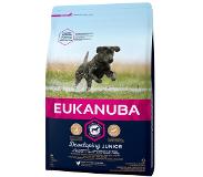 Eukanuba Croquettes chien Junior large 3 kg