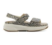 Xsensible Sandales Xsensible Stretchwalker Women Aruba Taupe-Taille 37
