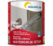 Aquaplan Stop-Fuites 1 kg