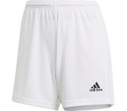 Adidas Squadra 21 Shorts | XL