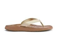 Olukai Tongs OluKai Paniolo Femme Tapa Sahara-Taille 39