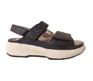 Xsensible Sandales Xsensible Femme Aruba Stretchwalker Navy-Taille 39