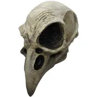 Ghoulish Raven Skull Mask Beige