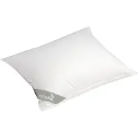 Yumeko - Oreiller - Duvet De Canard - 60x70 - Blanc