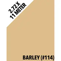 Colorama 114 2,72x11m Barley