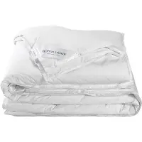 De Witte Lietaer Couette 4 Saisons De Witte Lietaer Ducky Duvet de Canard-260 x 240 cm