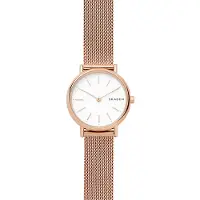 Skagen SKW2694