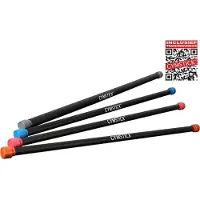 Gymstick Barre de fitness - Avec vidéos d'exercices - 4 kg