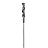 Bosch PRO Wood Foret d'installation HSS, 22 x 100 x 600 mm, SDS plus