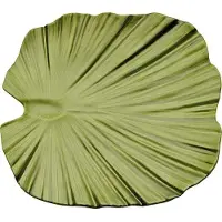 Aps Bols de luxe en mélamine verte | 2 formats