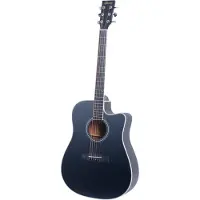 Fazley W70-DMBK ColourTune Dreadnought Matte Black guitare folk
