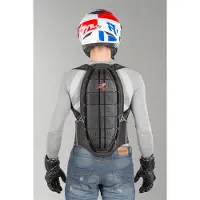 Zandona Shield Evo X7 Back Protector Noir XS