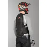 Zandona Shield Evo X8 Back Protector Gris S