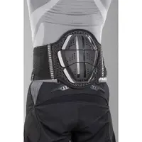 Zandona Shield Evo X3 Back Protector Noir L