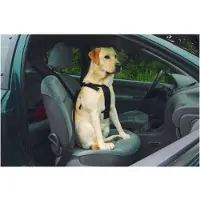 Beeztees Bz Auto Harnais De Sécurité Hu (Chien)