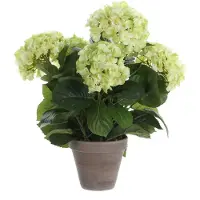 Mica Decorations Plante Artificielle Hortensia en Pot de Fleur Stan - H45 x Ø45 cm - Vert