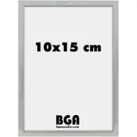 Nielsen Alpha 10x15 argent