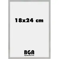 Nielsen Alpha 18x24 argent