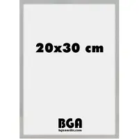 Nielsen Alpha 20x30 argent