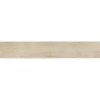 Duravit Ensemble de brosses STARCK T au sol chromé
