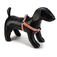 Beeztees Harnais Pour Chien Triangle