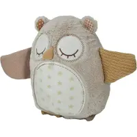 Ginza.se Veilleuse Nighty Night Owl Smart Sensor