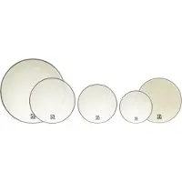 SpareDrum 10-12-14 + CC 14 + GC 22 Everest Transparente Fusion Pack