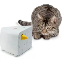 Frolicat Cheese Toy Clair