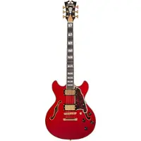 D'angelico Excel Mini DC Trans Cherry